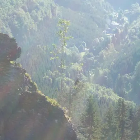 Wurzelknurzel Gehlberg